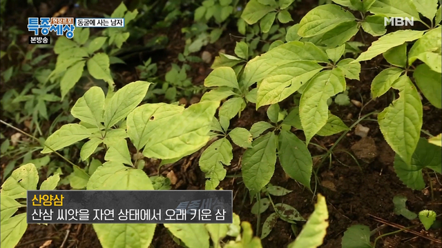 인기클립 TOP20