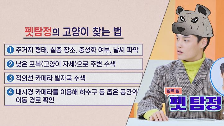 인기클립 TOP20