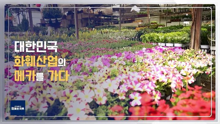 인기클립 TOP20