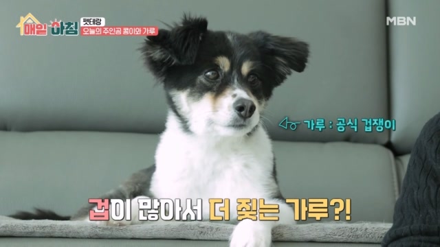 인기클립 TOP20