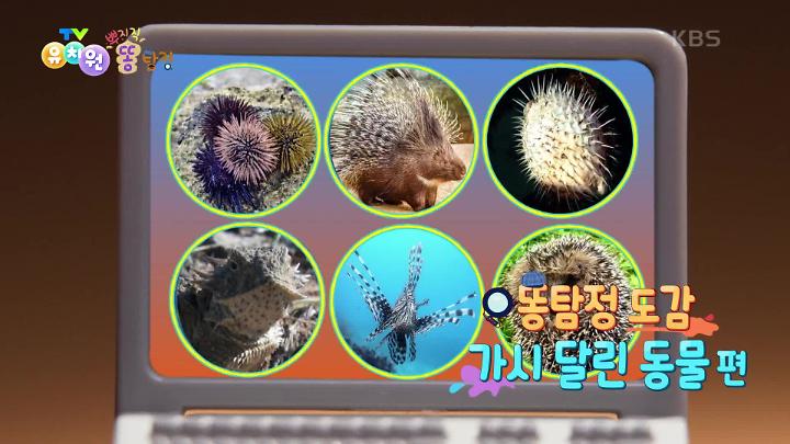 인기클립 TOP20
