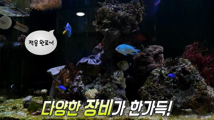 인기클립 TOP20