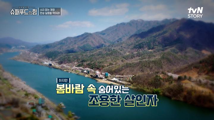 인기클립 TOP20