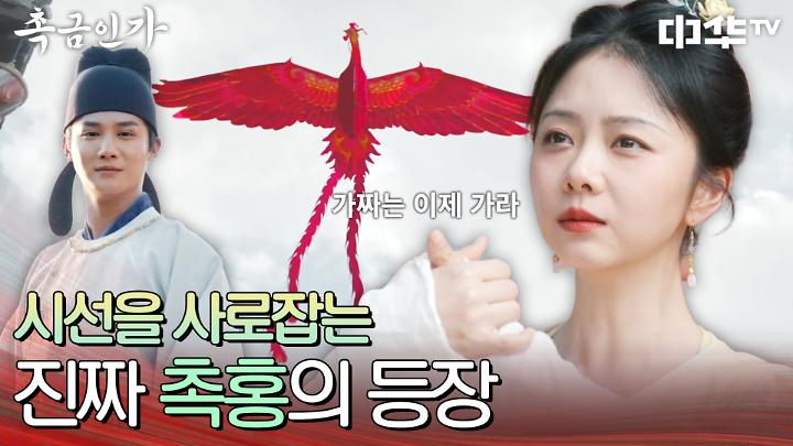 인기클립 TOP20
