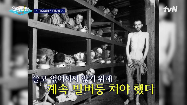 인기클립 TOP20