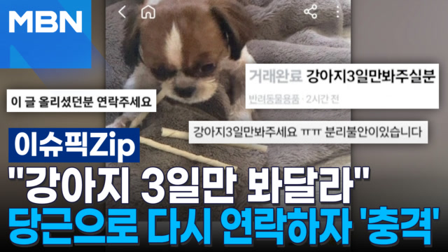 인기클립 TOP20