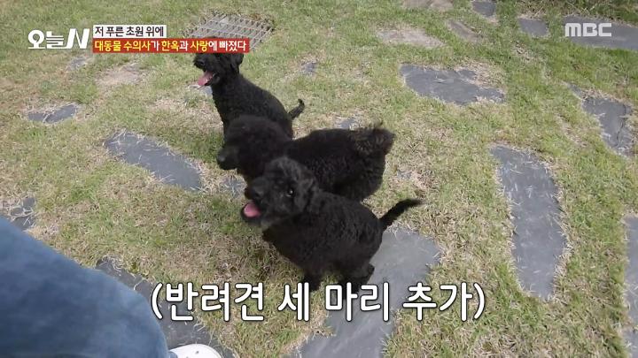 인기클립 TOP20