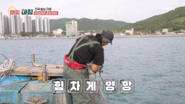 인기클립 TOP20
