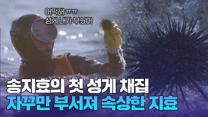 인기클립 TOP20