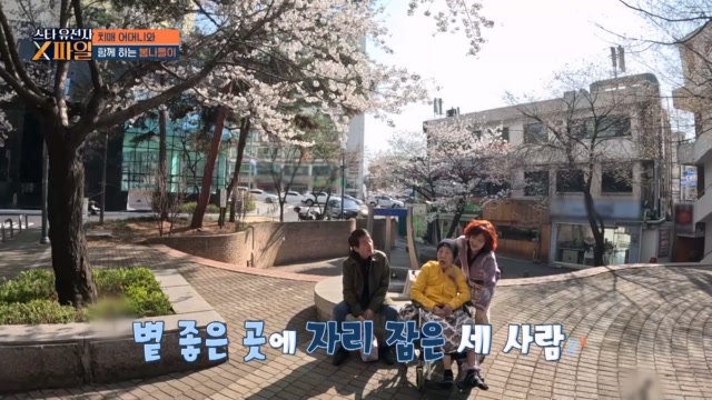 인기클립 TOP20