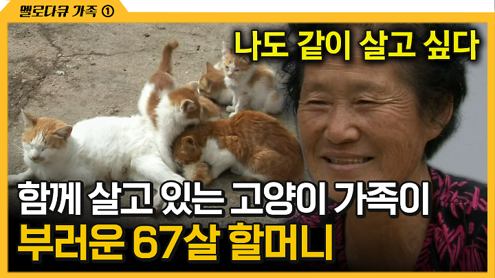 인기클립 TOP20