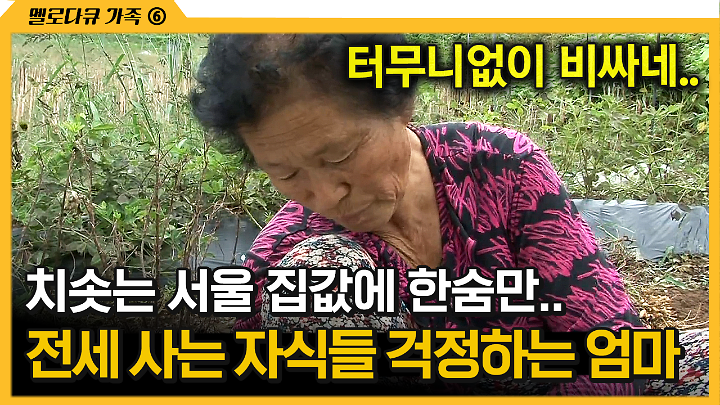 인기클립 TOP20