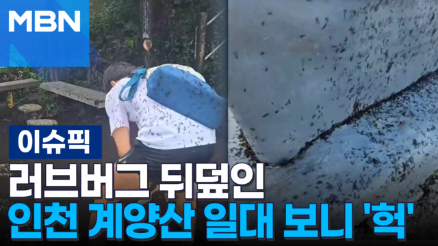 PR 이미지