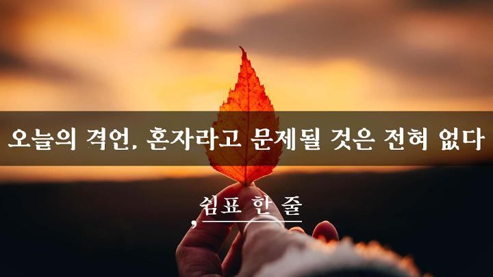 인기클립 TOP20