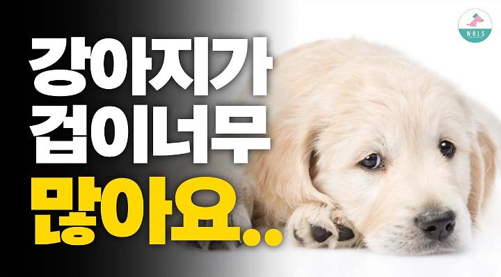 인기클립 TOP20