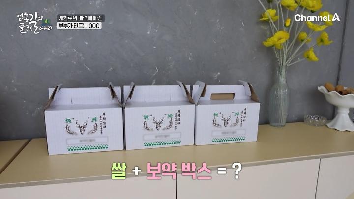 인기클립 TOP20