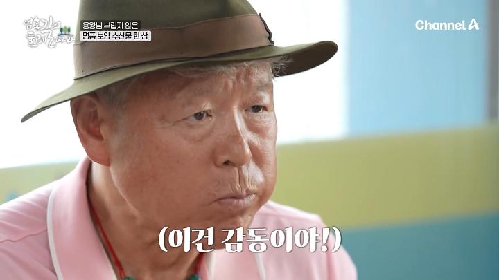 인기클립 TOP20