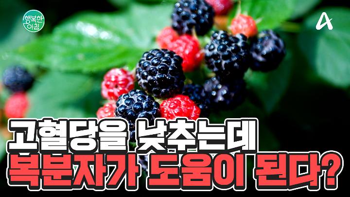 인기클립 TOP20