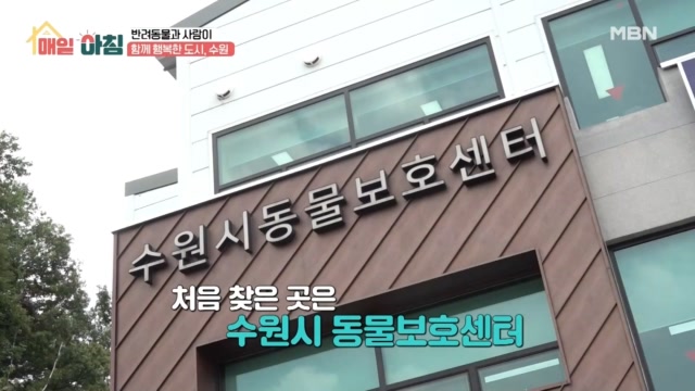 인기클립 TOP20