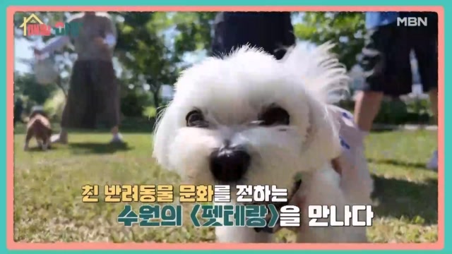 인기클립 TOP20