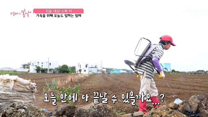 인기클립 TOP20