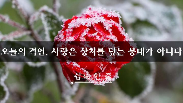 인기클립 TOP20