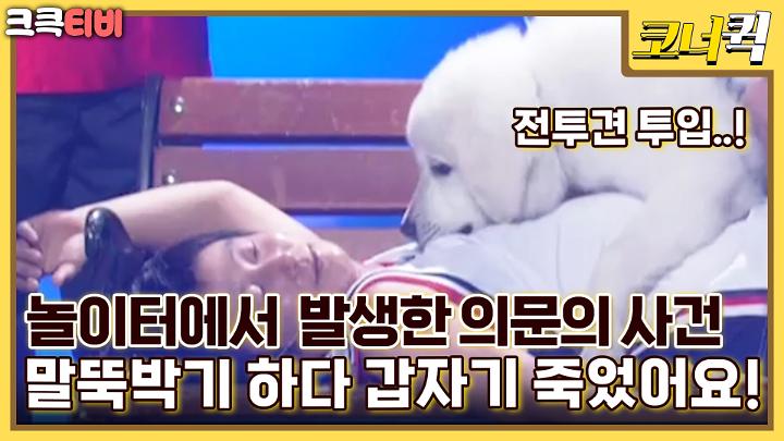 인기클립 TOP20