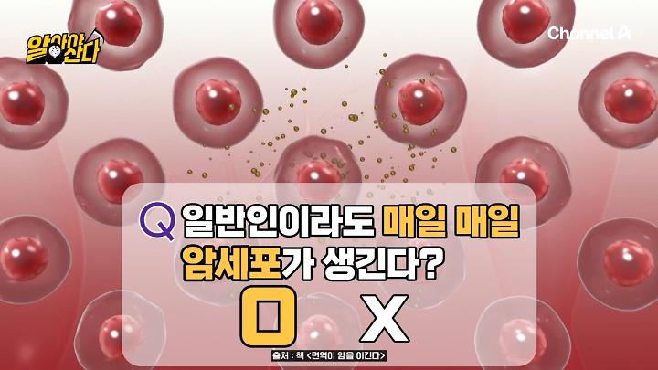 인기클립 TOP20