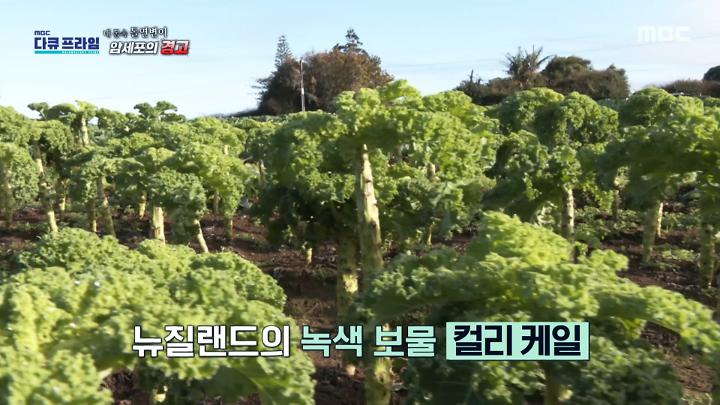 인기클립 TOP20