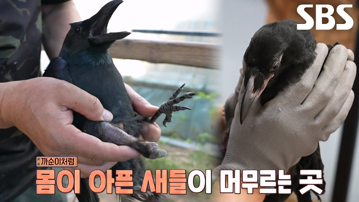 PR 이미지