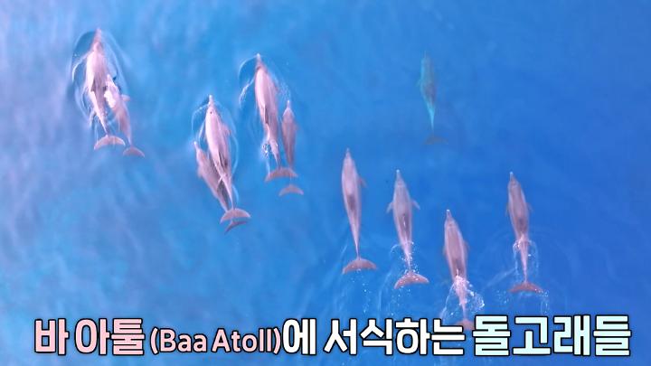 인기클립 TOP20