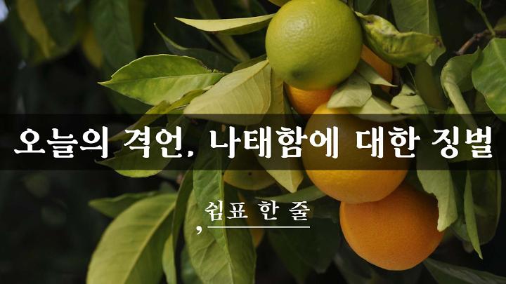 인기클립 TOP20
