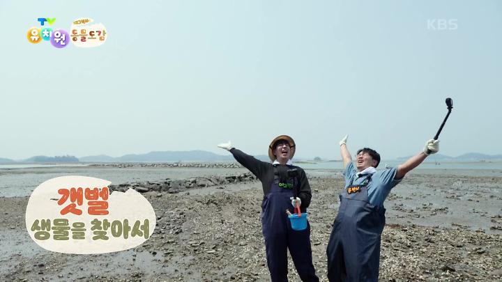 인기클립 TOP20