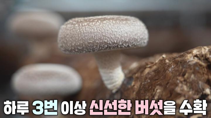 인기클립 TOP20