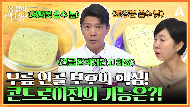 인기클립 TOP20
