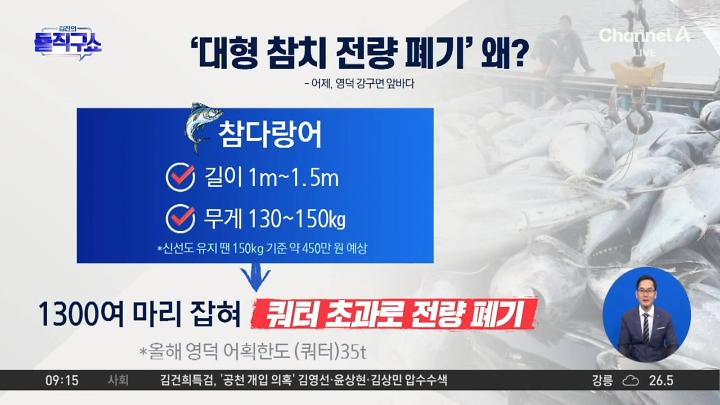 인기클립 TOP20