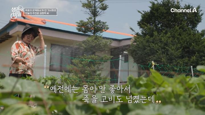 인기클립 TOP20