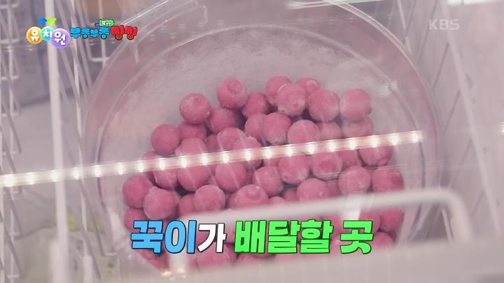 PR 이미지