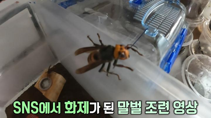 인기클립 TOP20