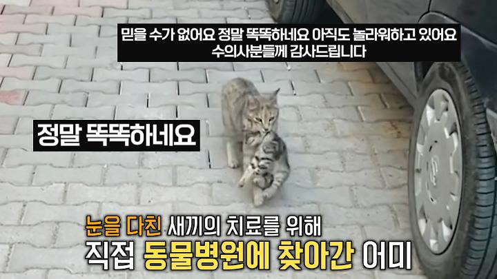 인기클립 TOP20
