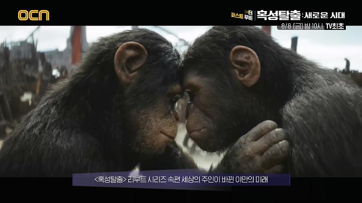 인기클립 TOP20