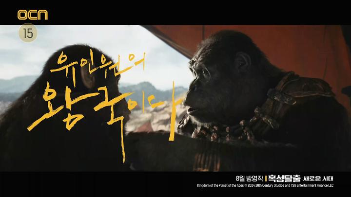 인기클립 TOP20