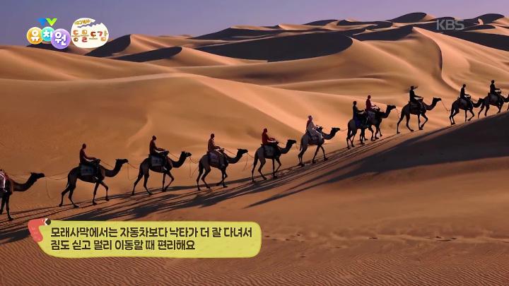 인기클립 TOP20