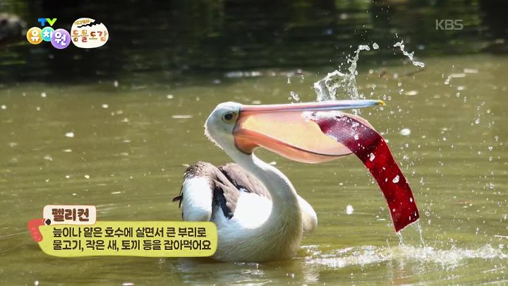 PR 이미지