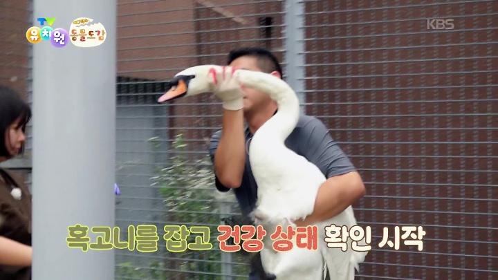 PR 이미지