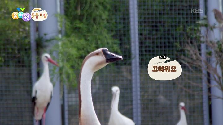 인기클립 TOP20