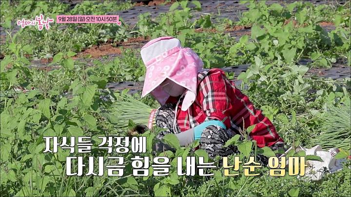 인기클립 TOP20