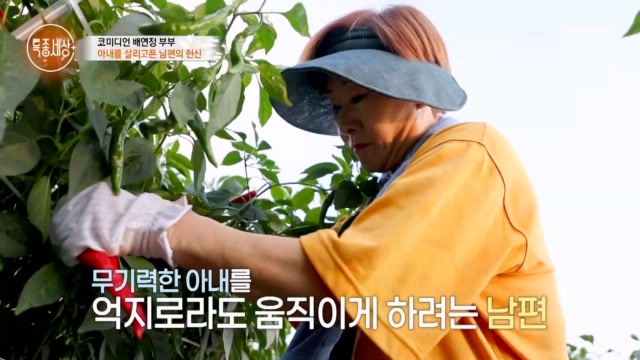 인기클립 TOP20