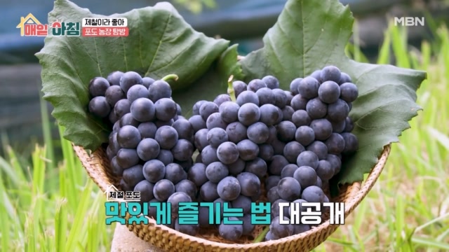 인기클립 TOP20