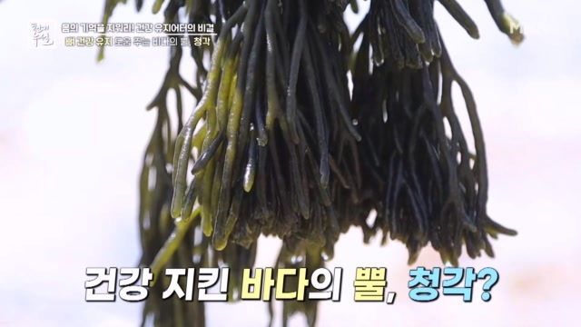 인기클립 TOP20